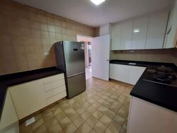 The Cairnhill (D9), Condominium #639462481